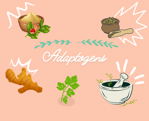 Beginner's Guide to Adaptogens