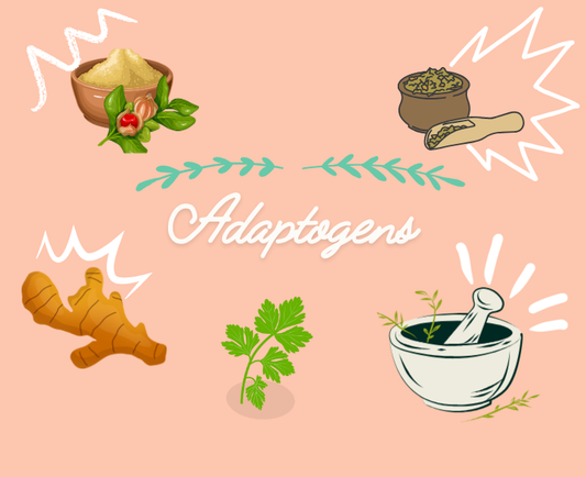 Beginner's Guide to Adaptogens